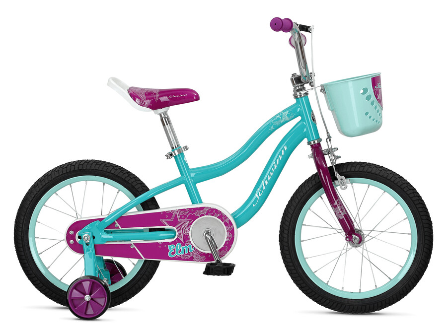 olmo 16 pollici