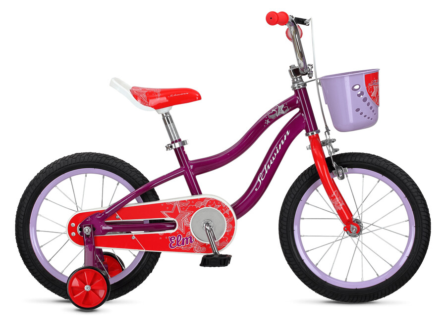 olmo 16 pollici