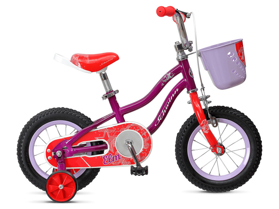 olmo 12 pollici
