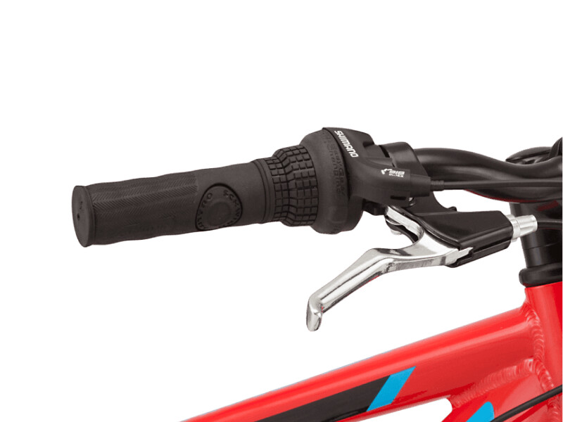 thrasher 20 pollici